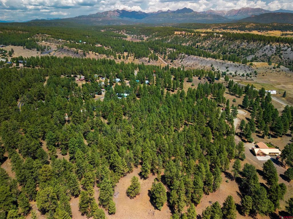X Bienvenido Circle Pagosa Springs CO 81147