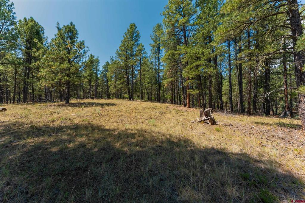 X Bienvenido Circle Pagosa Springs CO 81147