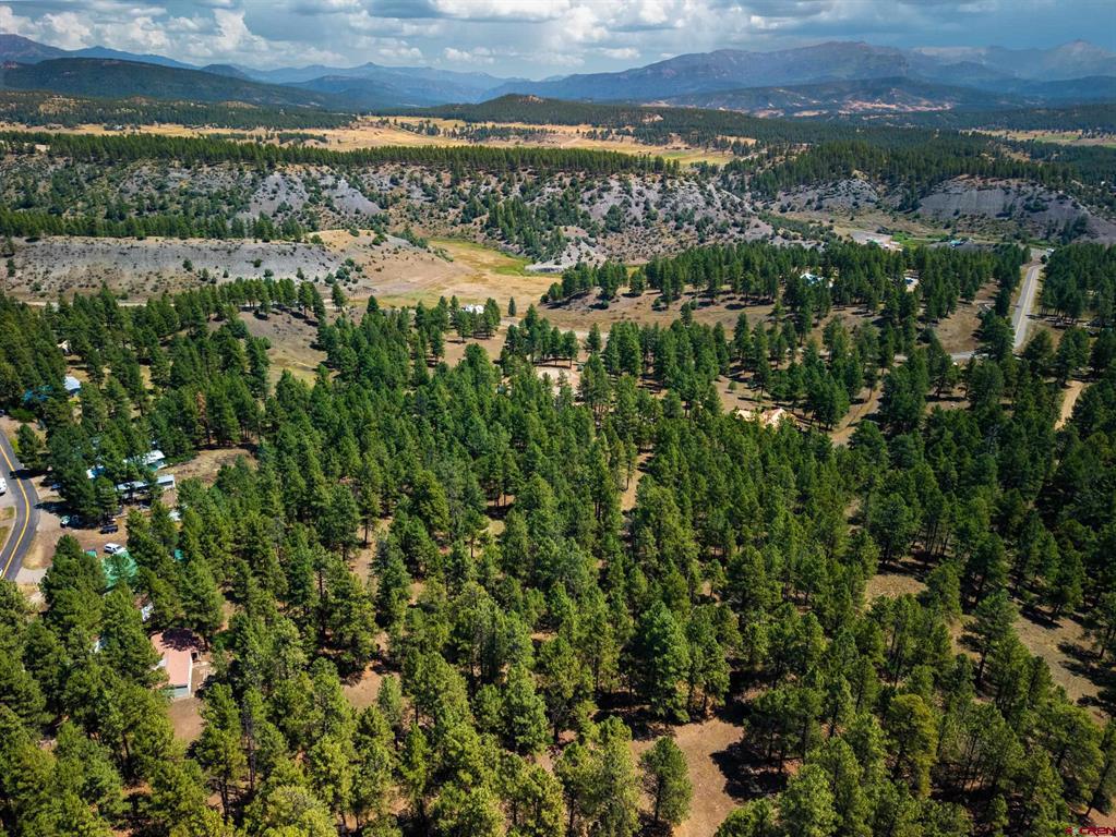 X Bienvenido Circle Pagosa Springs CO 81147