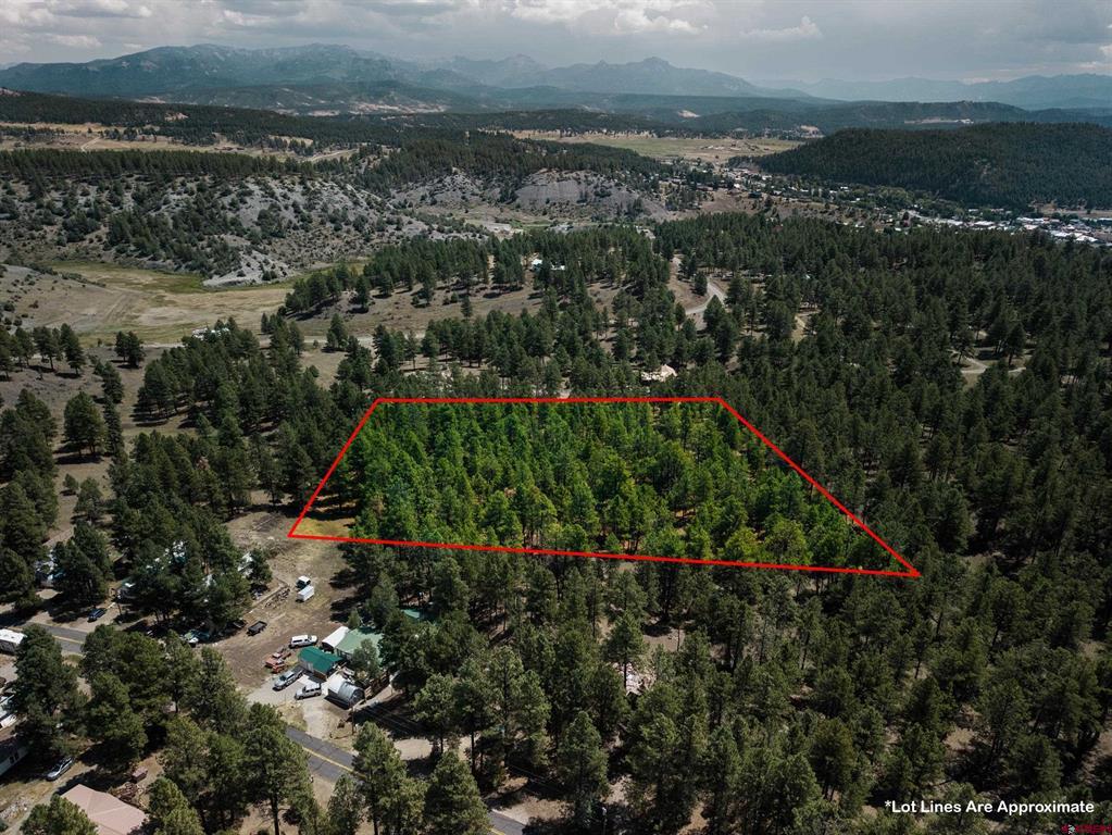 X Bienvenido Circle Pagosa Springs CO 81147