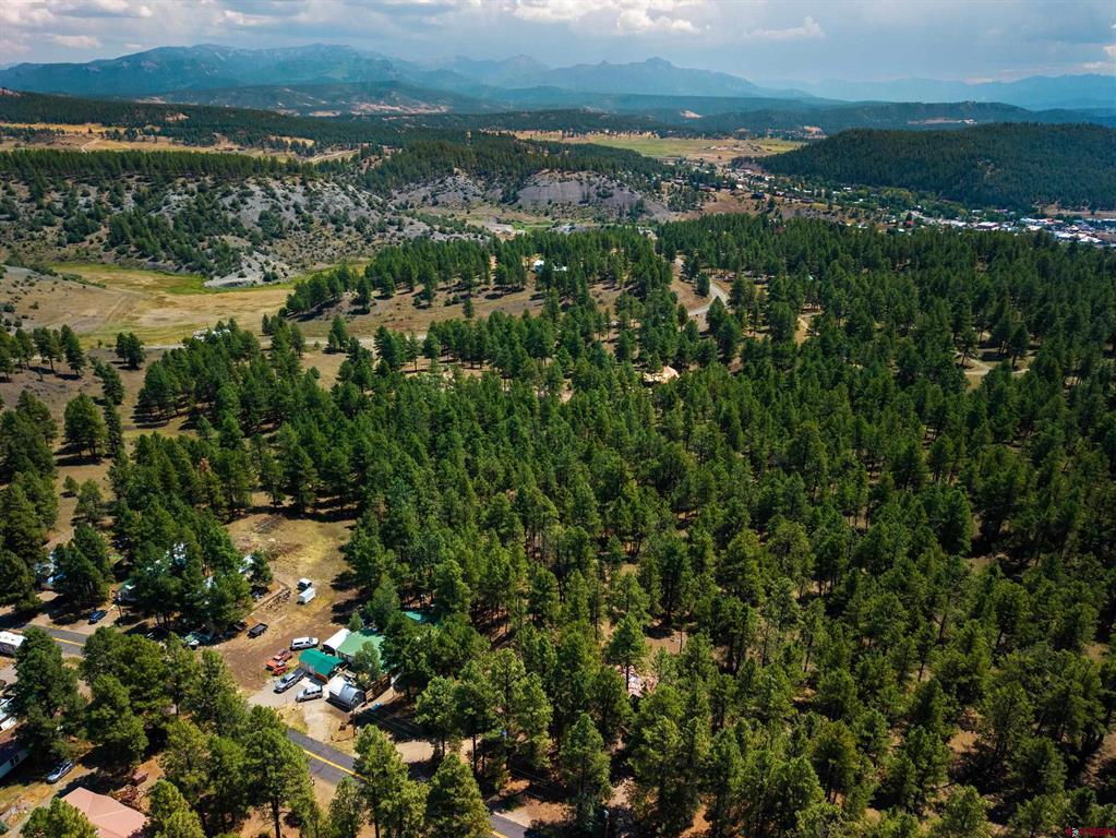 X Bienvenido Circle Pagosa Springs CO 81147
