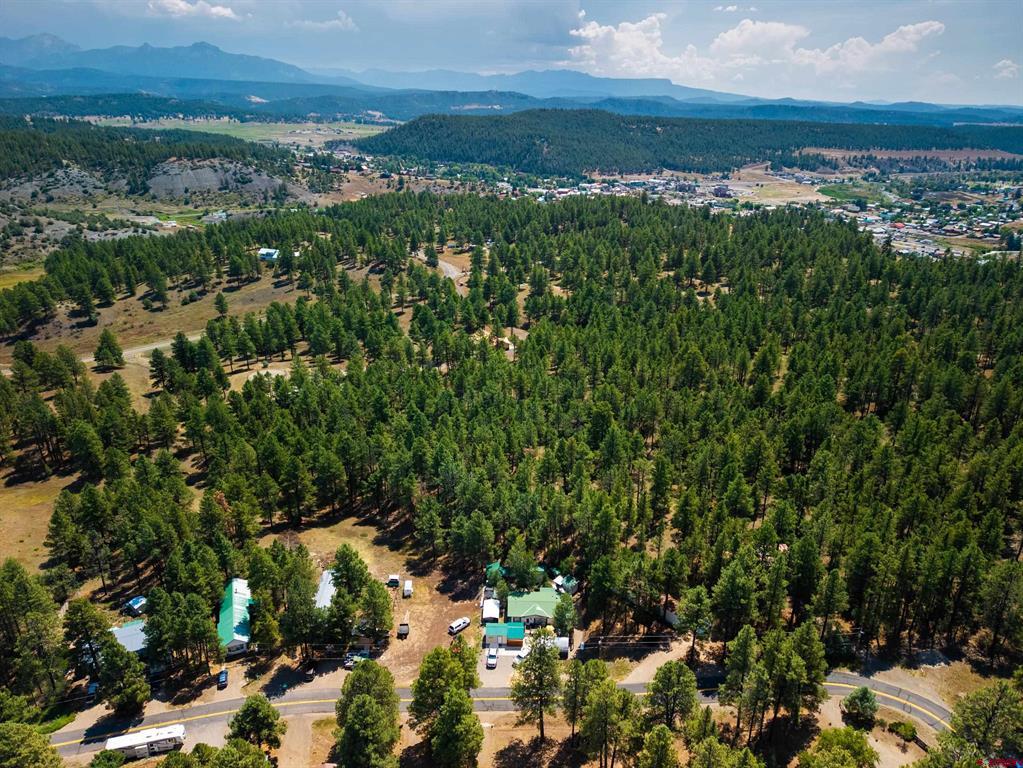 X Bienvenido Circle Pagosa Springs CO 81147