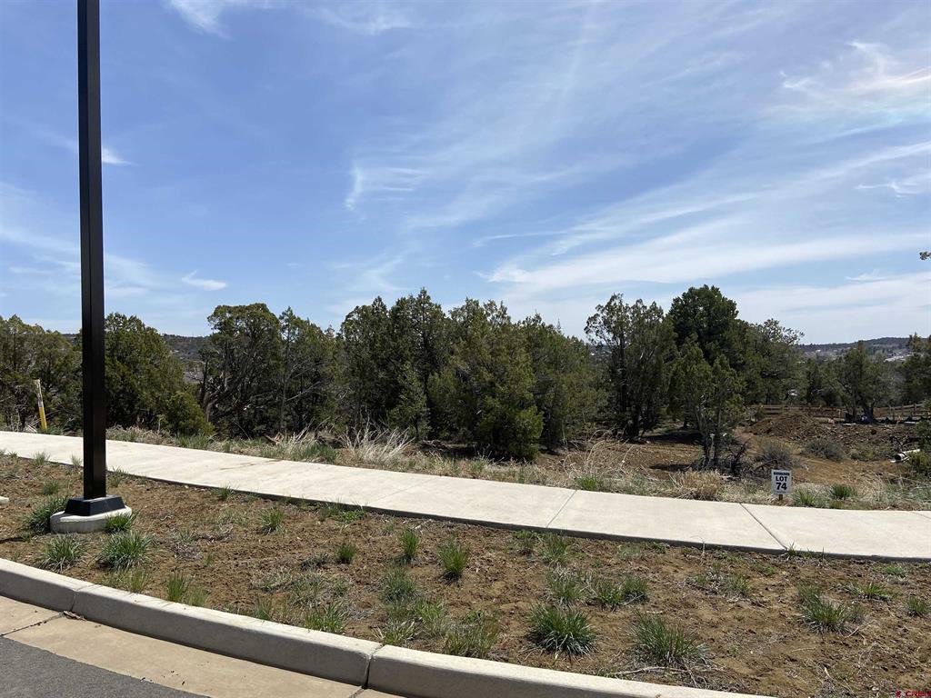 46 Yarrow Court Durango CO 81301