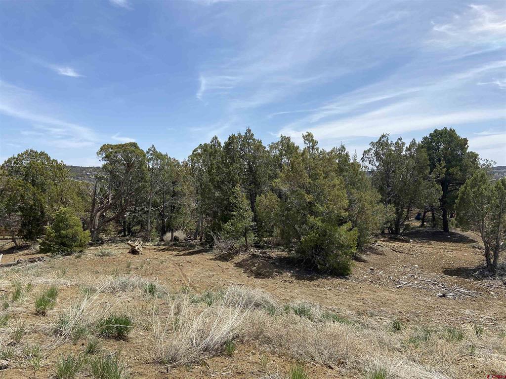 46 Yarrow Court Durango CO 81301