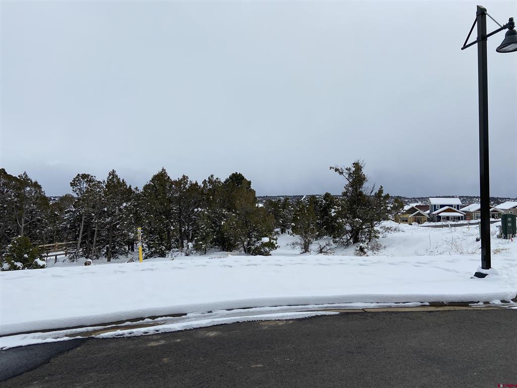 46 Yarrow Court Durango CO 81301