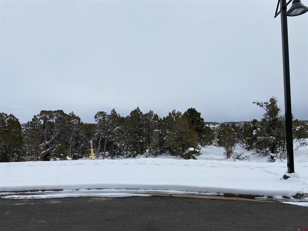 46 Yarrow Court Durango CO 81301
