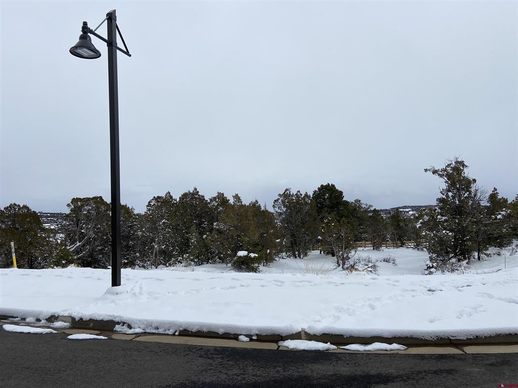 46 Yarrow Court Durango CO 81301