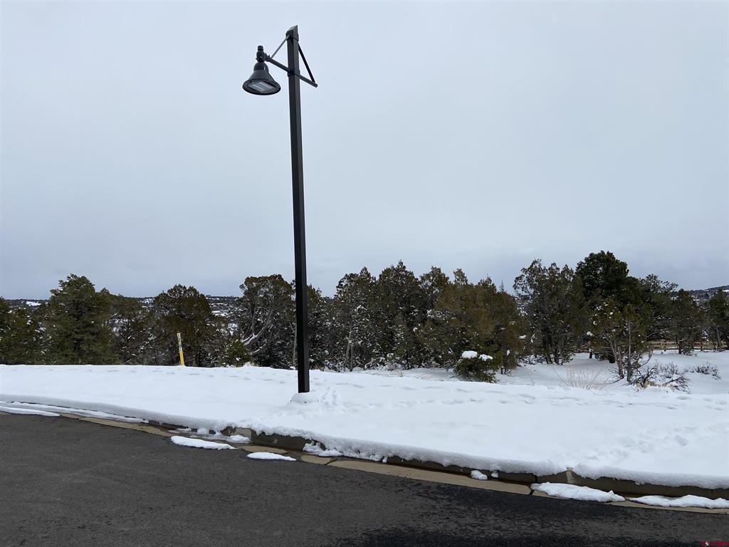 46 Yarrow Court Durango CO 81301