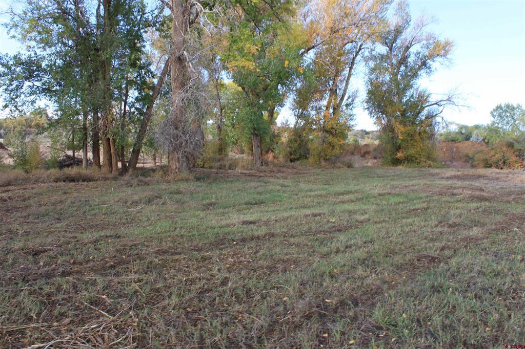 Tbd 6360 Road Montrose CO 81403