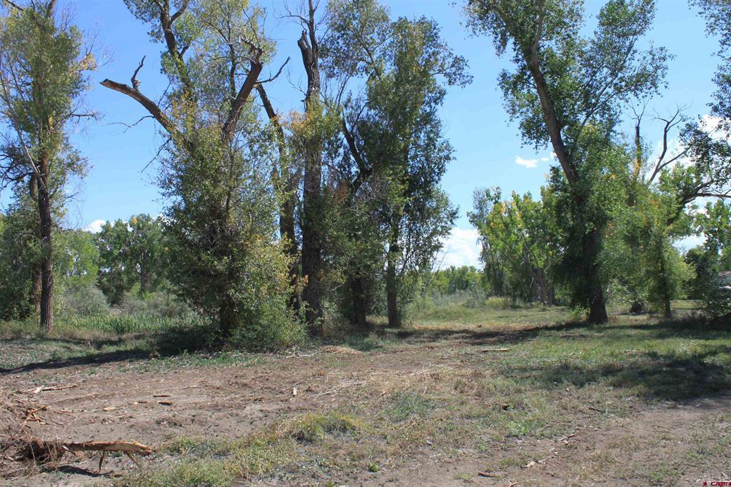 Tbd 6360 Road Montrose CO 81403