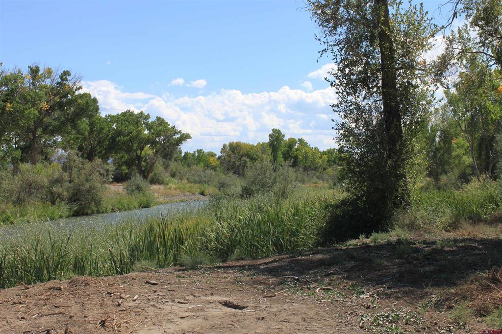 Tbd 6360 Road Montrose CO 81403