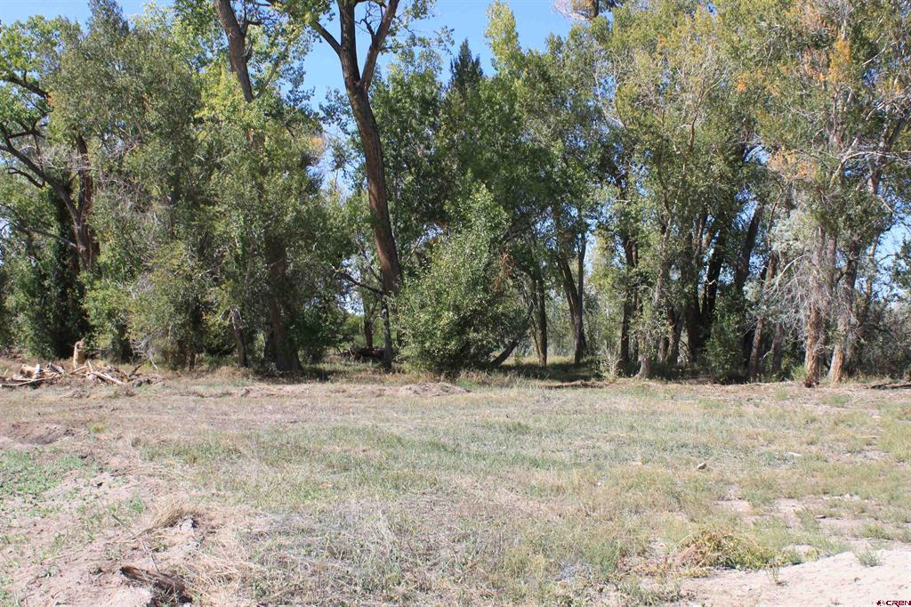 Tbd 6360 Road Montrose CO 81403