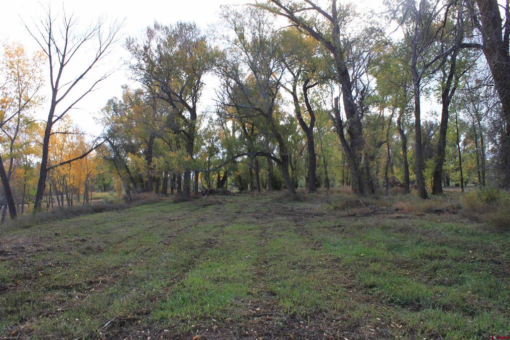 Tbd 6360 Road Montrose CO 81403