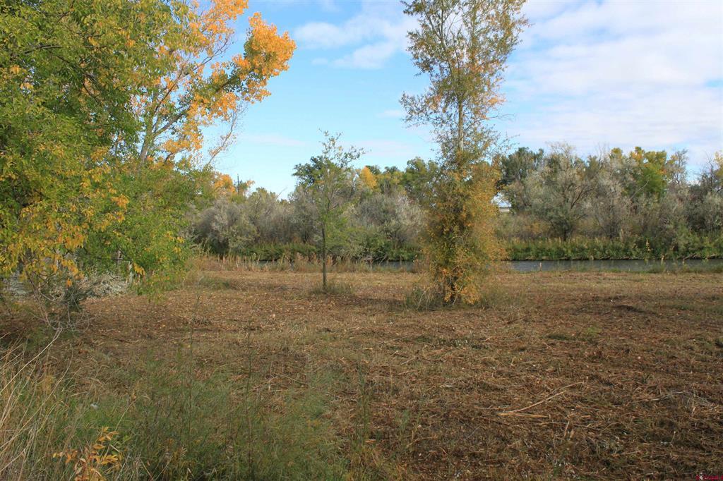 Tbd 6360 Road Montrose CO 81403
