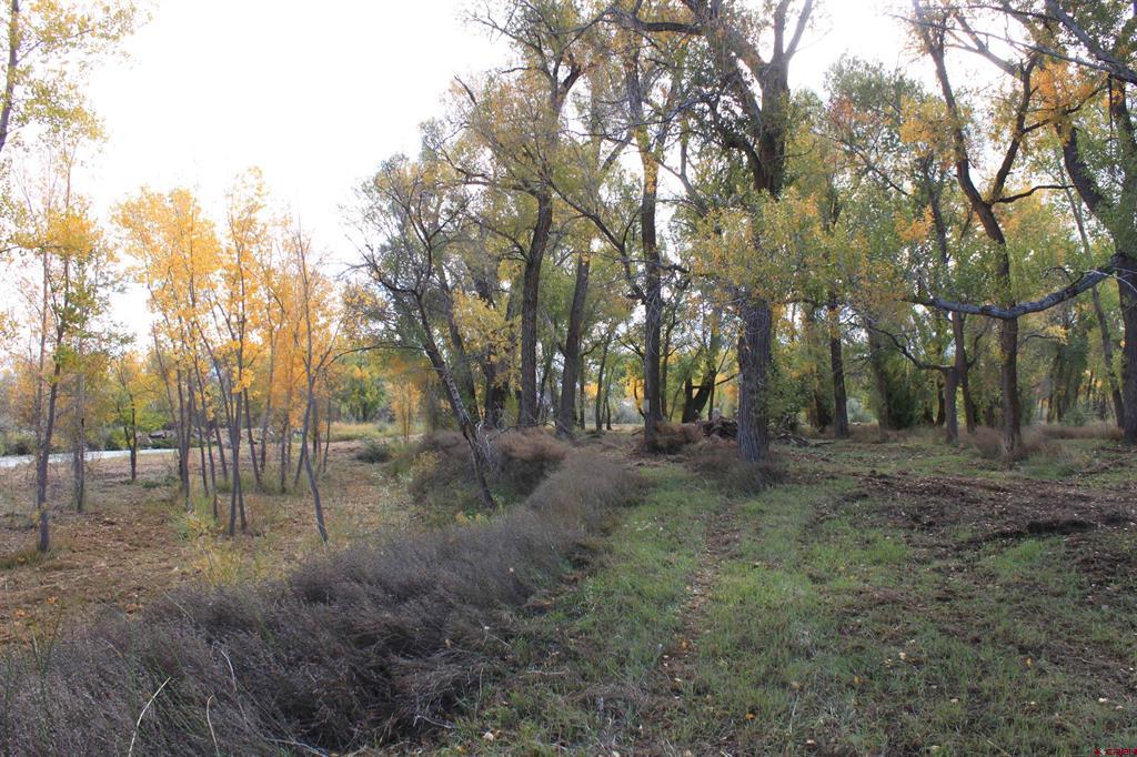 Tbd 6360 Road Montrose CO 81403