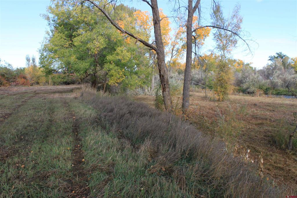 Tbd 6360 Road Montrose CO 81403