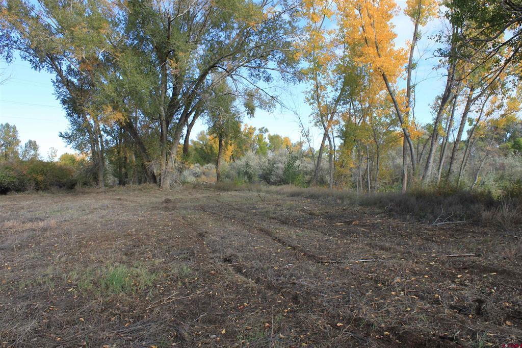 Tbd 6360 Road Montrose CO 81403