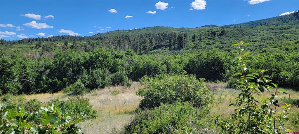 188 Grouse Point Durango CO 81301