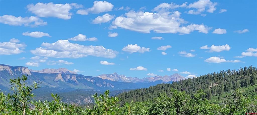 188 Grouse Point Durango CO 81301