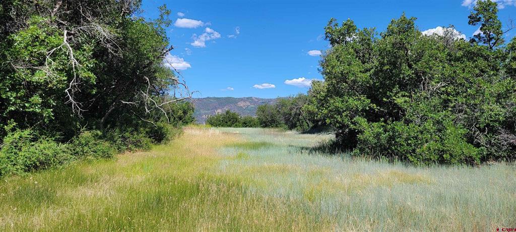 188 Grouse Point Durango CO 81301