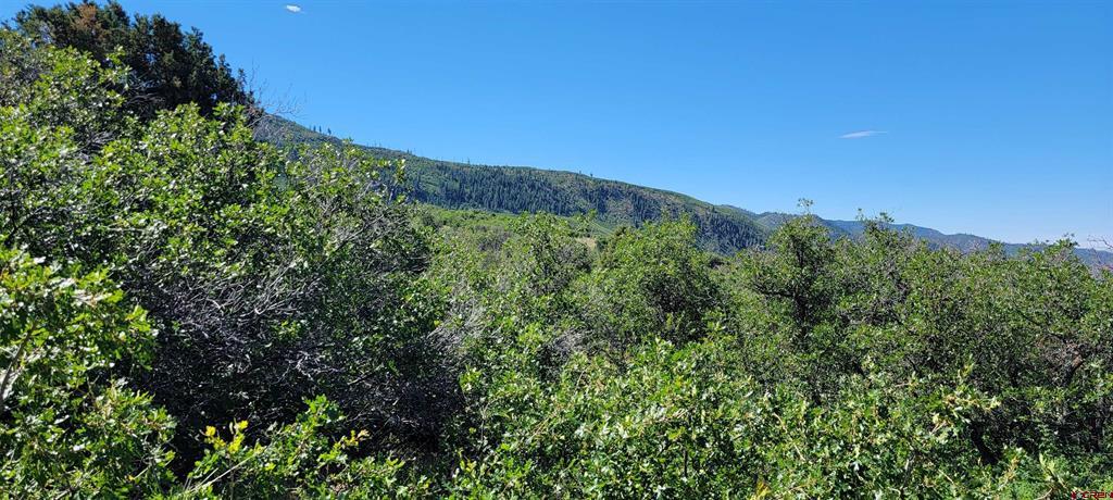 188 Grouse Point Durango CO 81301