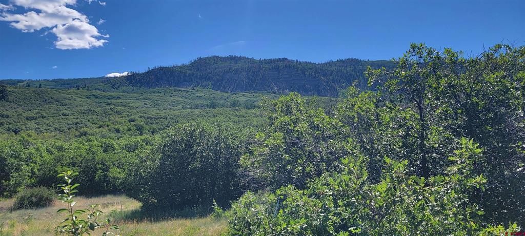 188 Grouse Point Durango CO 81301