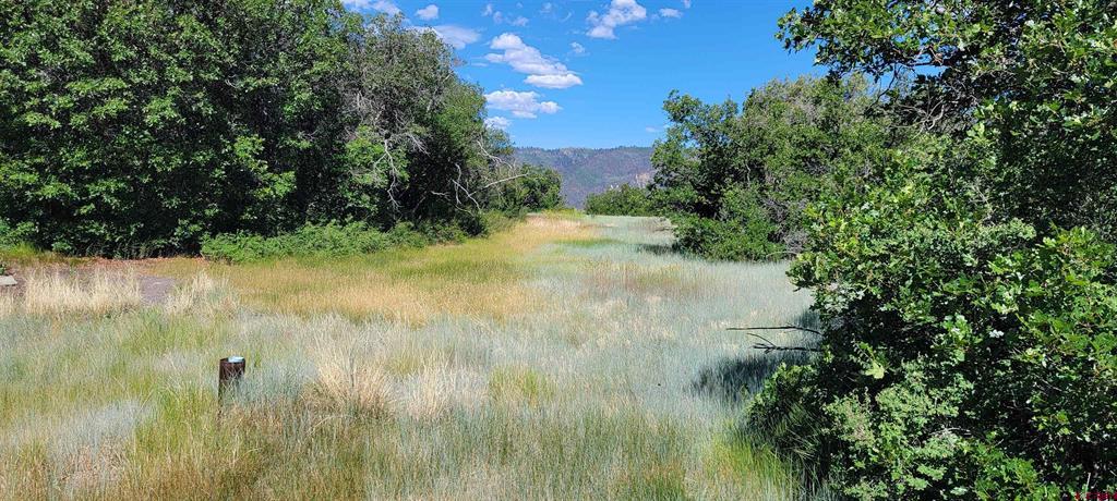 188 Grouse Point Durango CO 81301