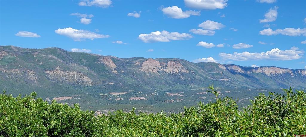 188 Grouse Point Durango CO 81301