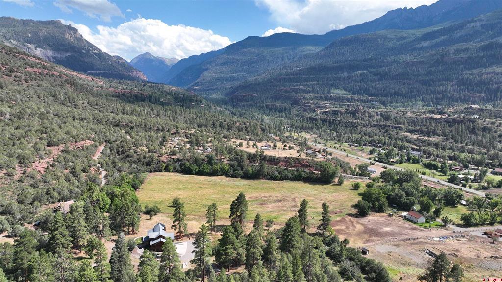 Lot 3 White House Vista Lane Ridgway CO 81432