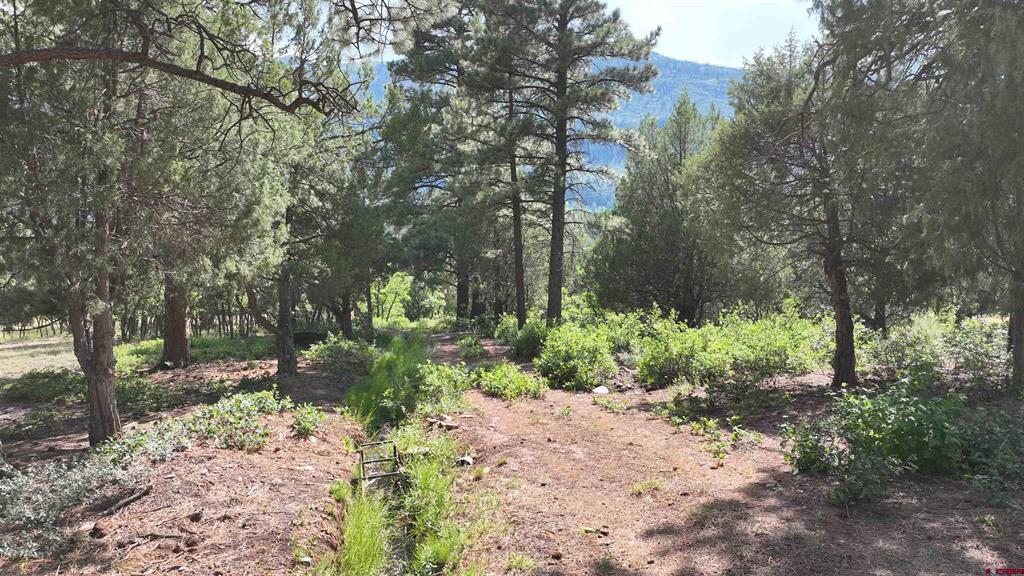 Lot 3 White House Vista Lane Ridgway CO 81432