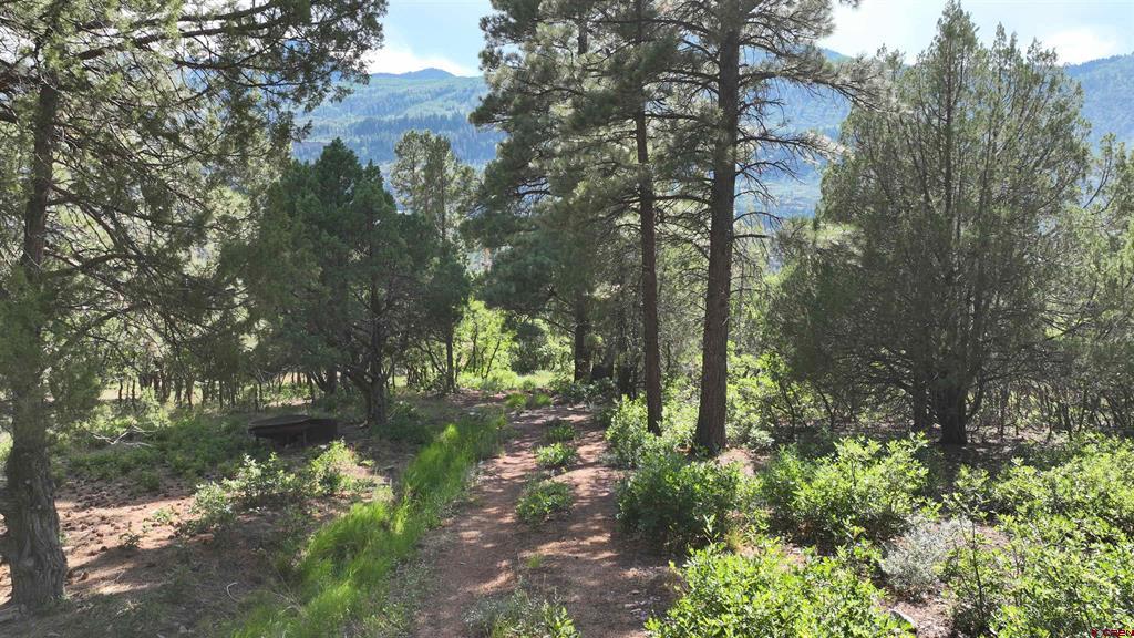 Lot 3 White House Vista Lane Ridgway CO 81432
