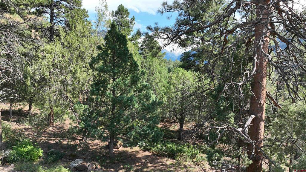 Lot 3 White House Vista Lane Ridgway CO 81432
