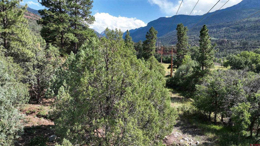 Lot 3 White House Vista Lane Ridgway CO 81432