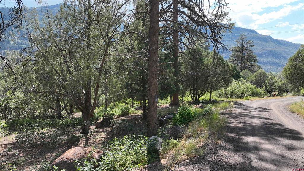 Lot 3 White House Vista Lane Ridgway CO 81432