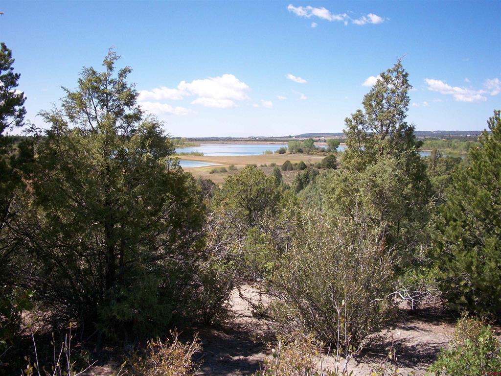 13989 Road 35.6 Mancos CO 81328
