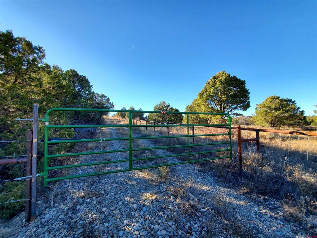 13989 Road 35.6 Mancos CO 81328