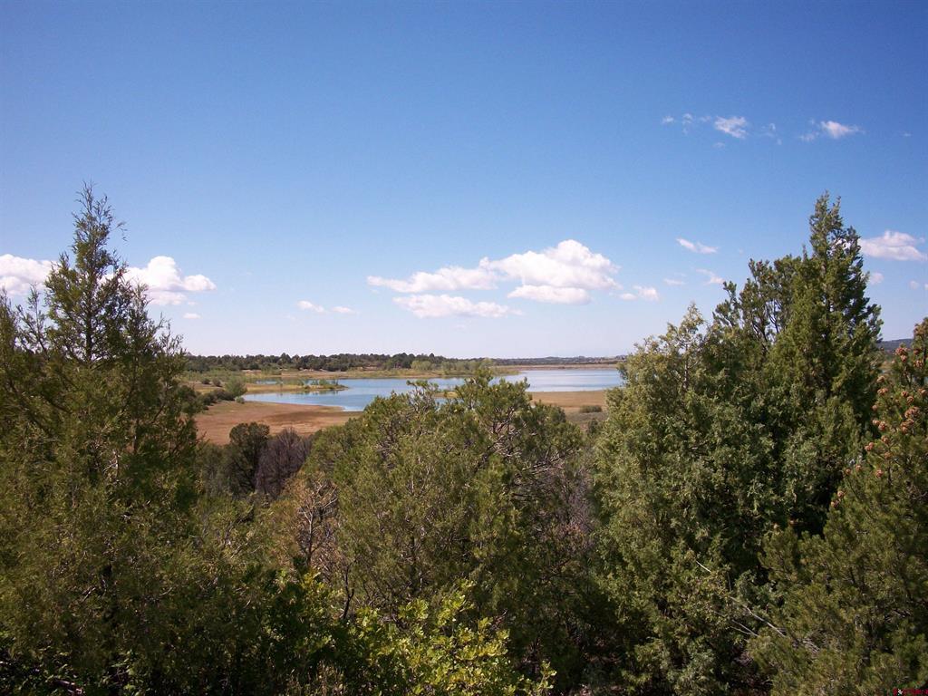 13989 Road 35.6 Mancos CO 81328