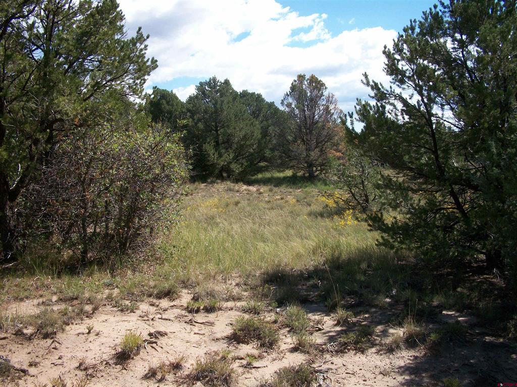 13989 Road 35.6 Mancos CO 81328