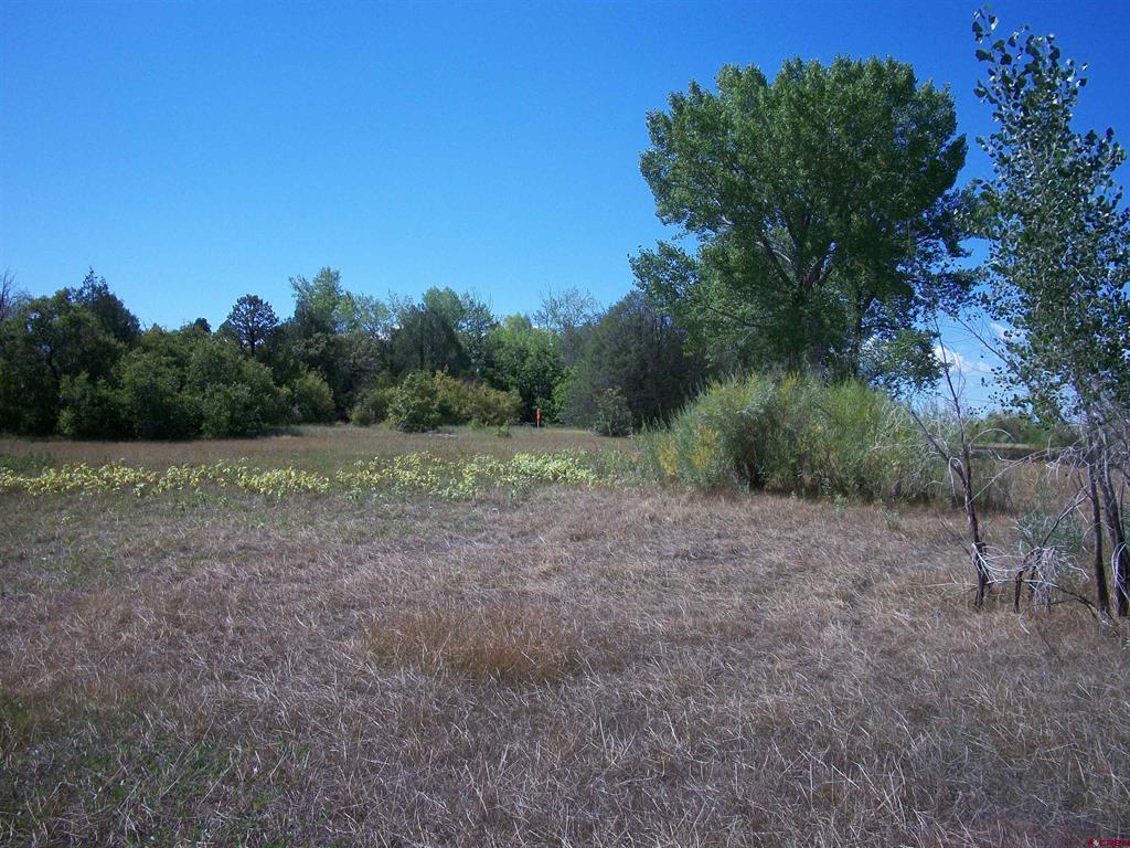 13989 Road 35.6 Mancos CO 81328
