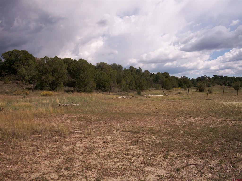 13989 Road 35.6 Mancos CO 81328