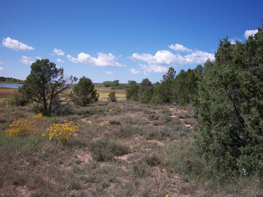 13989 Road 35.6 Mancos CO 81328