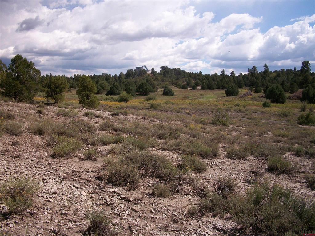 13989 Road 35.6 Mancos CO 81328
