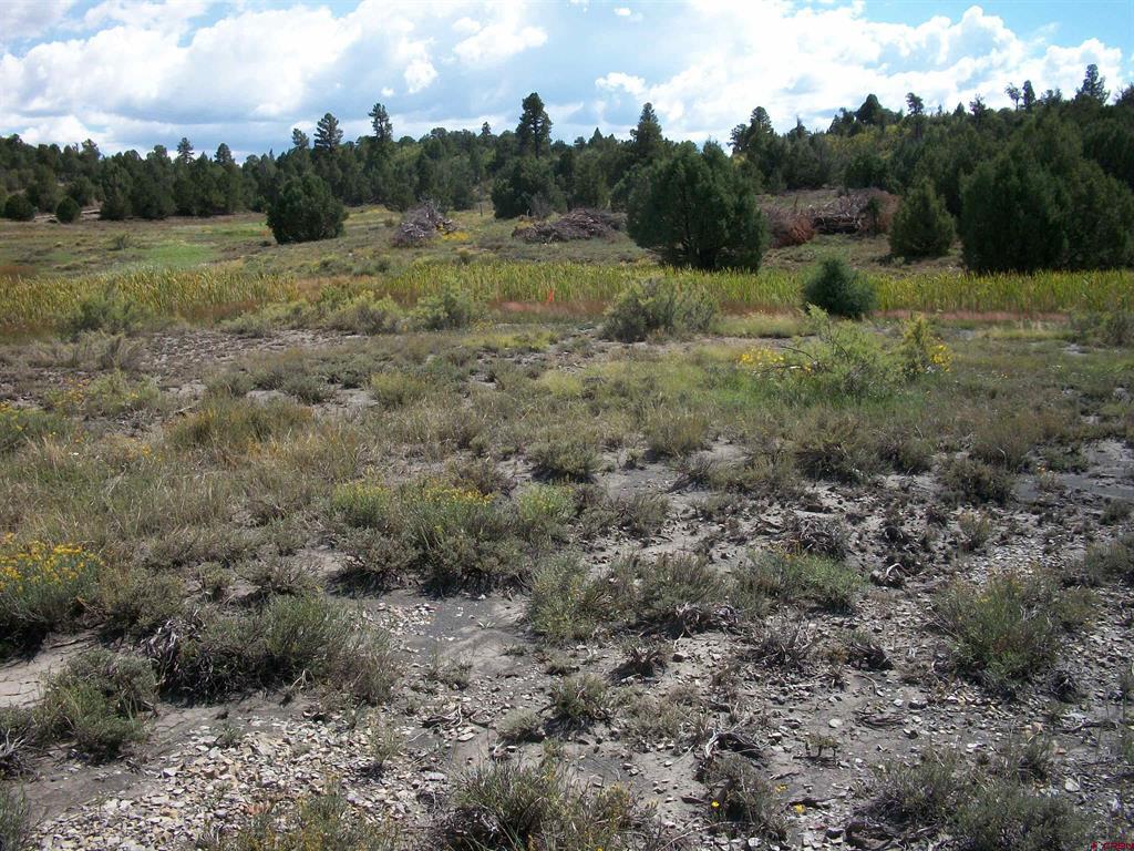13989 Road 35.6 Mancos CO 81328