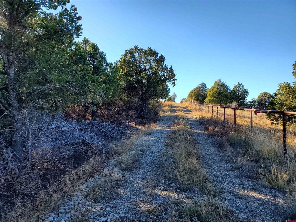 13989 Road 35.6 Mancos CO 81328