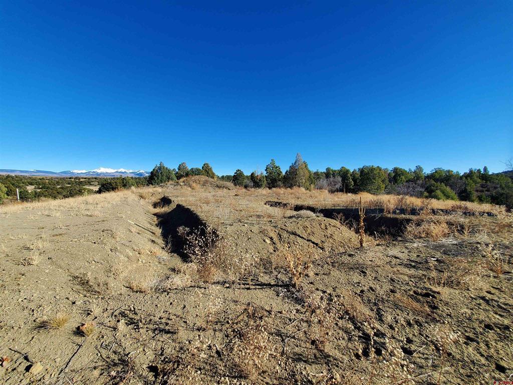 13989 Road 35.6 Mancos CO 81328