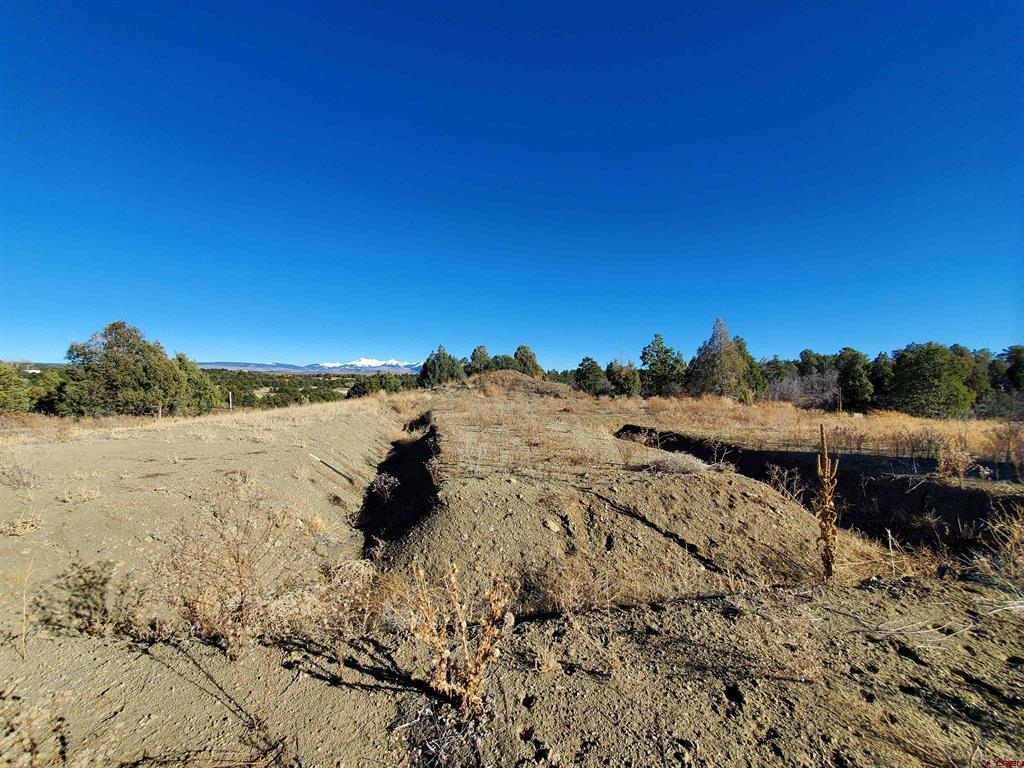 13989 Road 35.6 Mancos CO 81328
