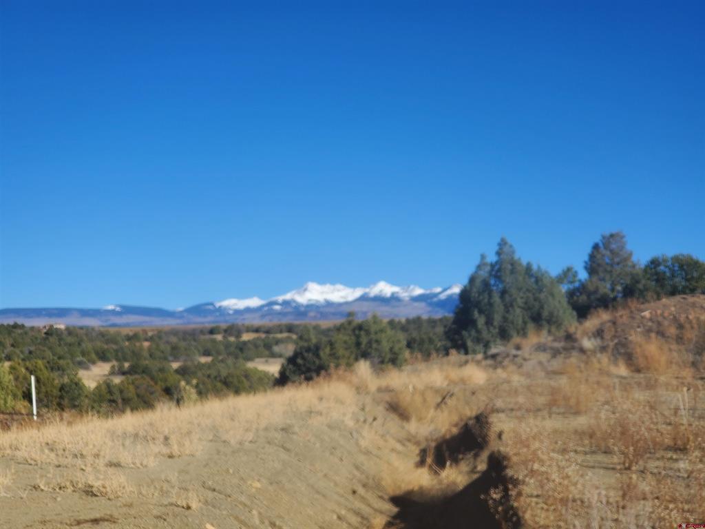 13989 Road 35.6 Mancos CO 81328