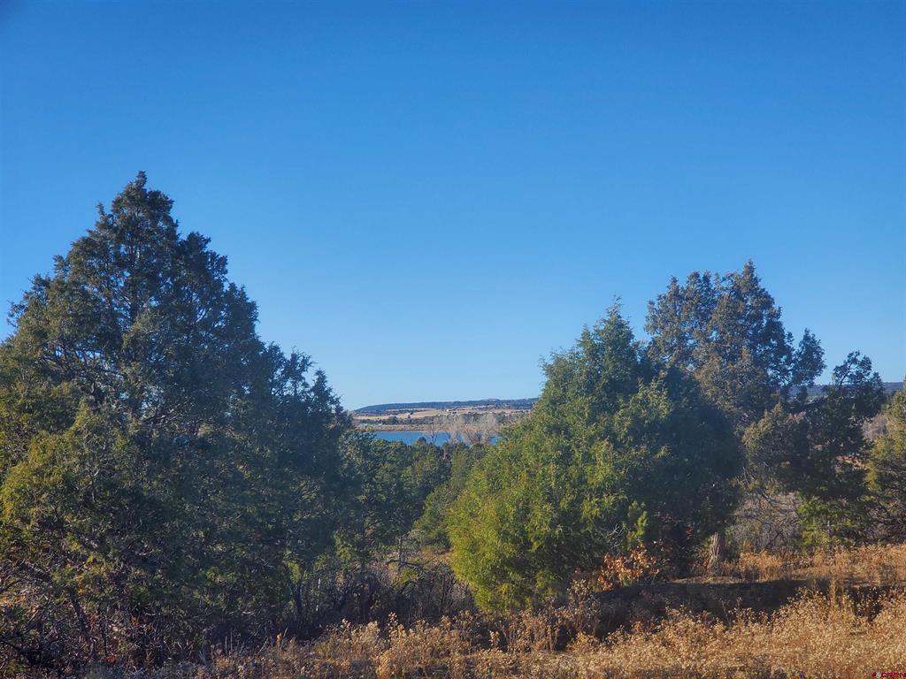 13989 Road 35.6 Mancos CO 81328