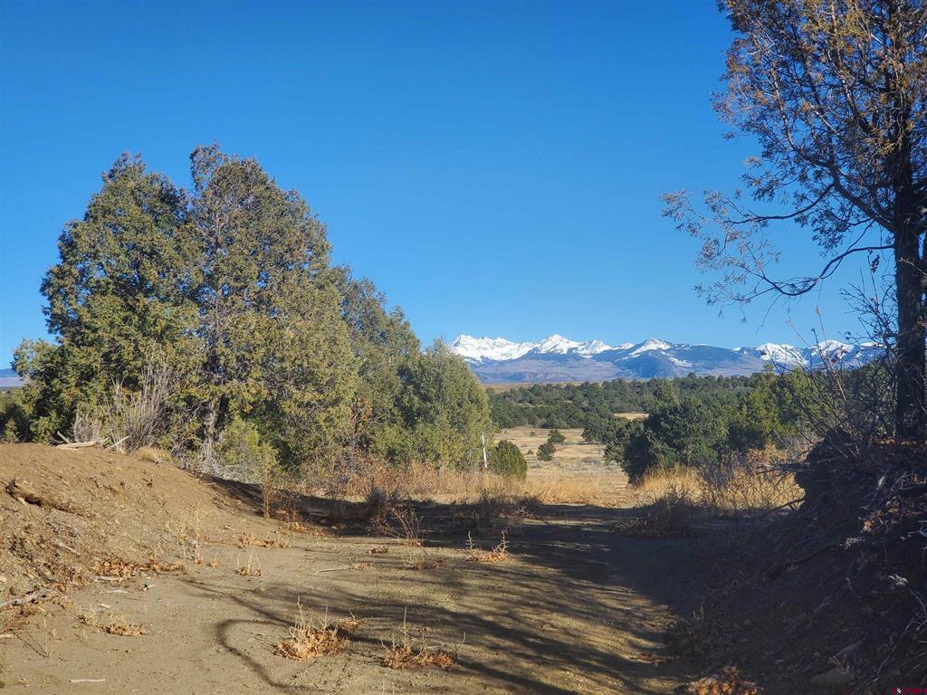 13989 Road 35.6 Mancos CO 81328