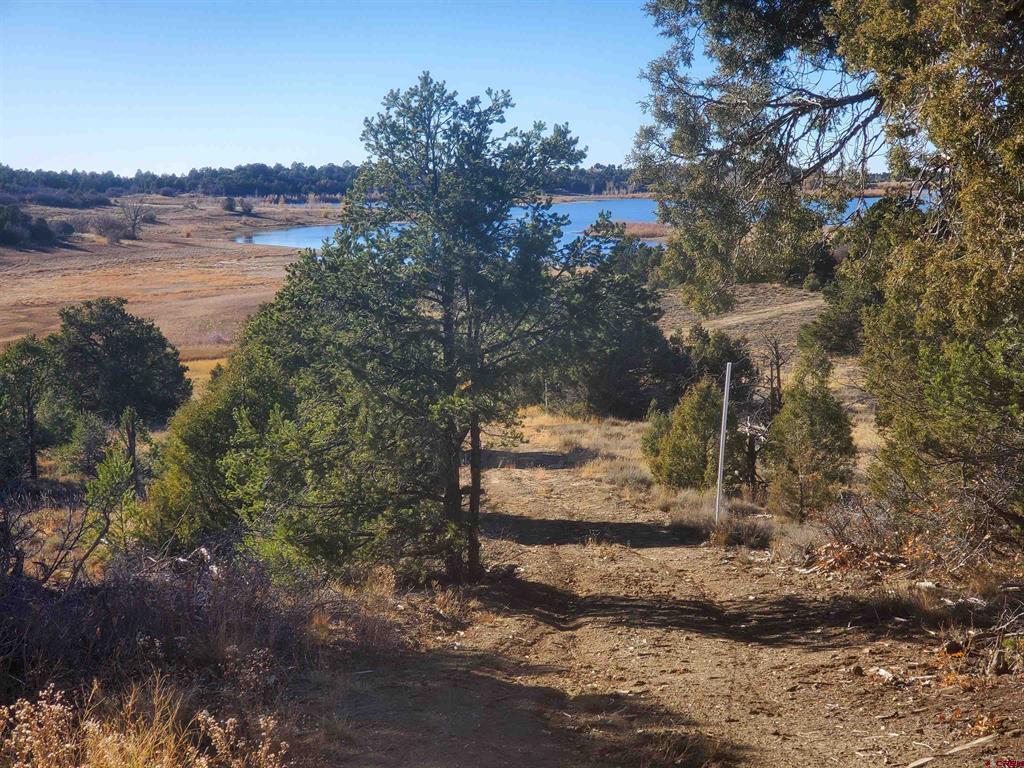13989 Road 35.6 Mancos CO 81328